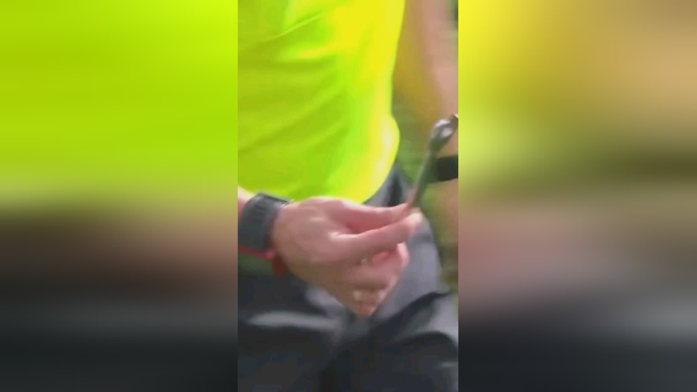 血液相互融